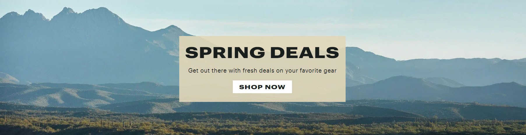 Rip Curl -Rip Curl DFDF